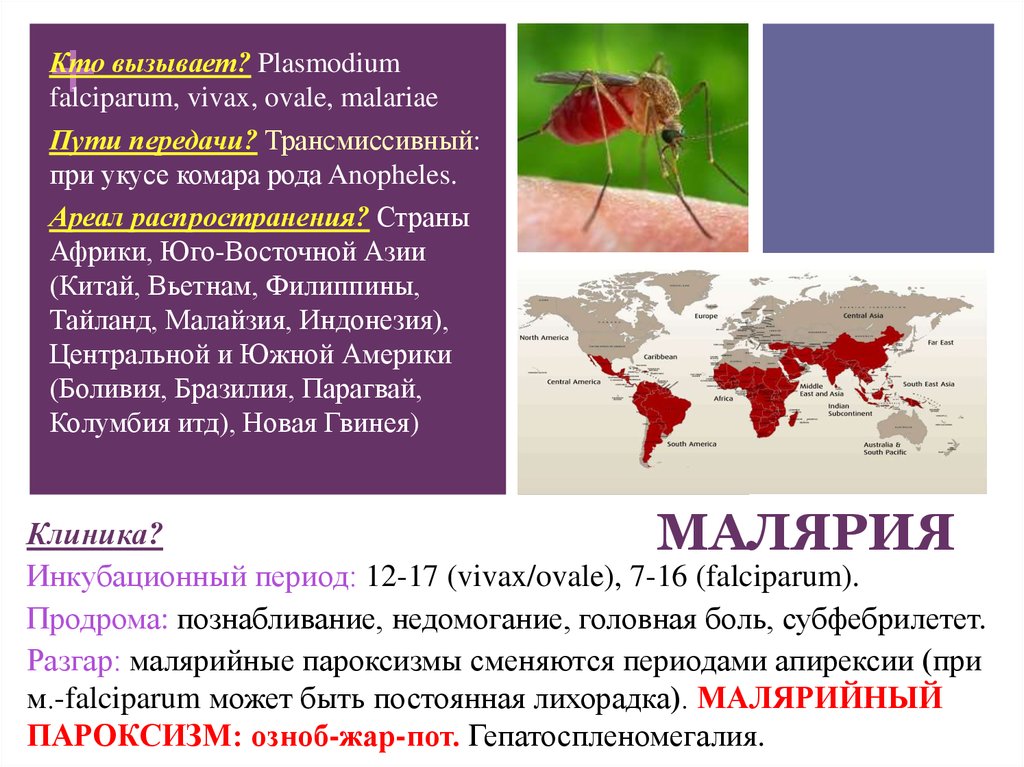 Течение тропической малярии