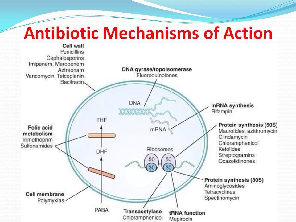 Mechanism of action. Mechanism of Action of antibiotics. Механизм действия антибиотиков на бактерии рисунок. Antibiotic Mode of Action. Mechanism of Antibacterial Action of penicillins.