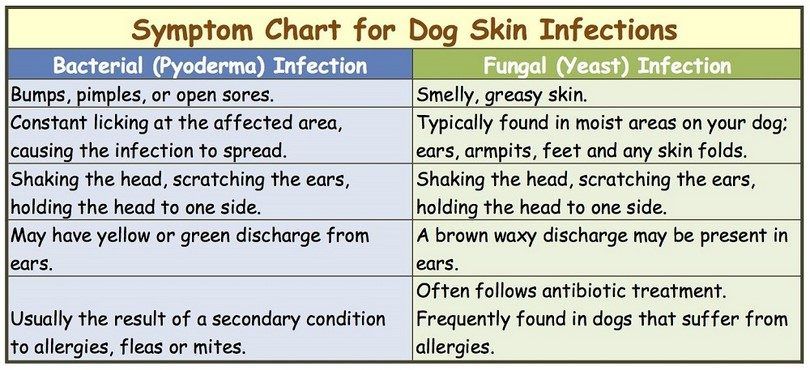 yeast-infection-in-skin-fold-causes-symptoms-pictures-and-treatment