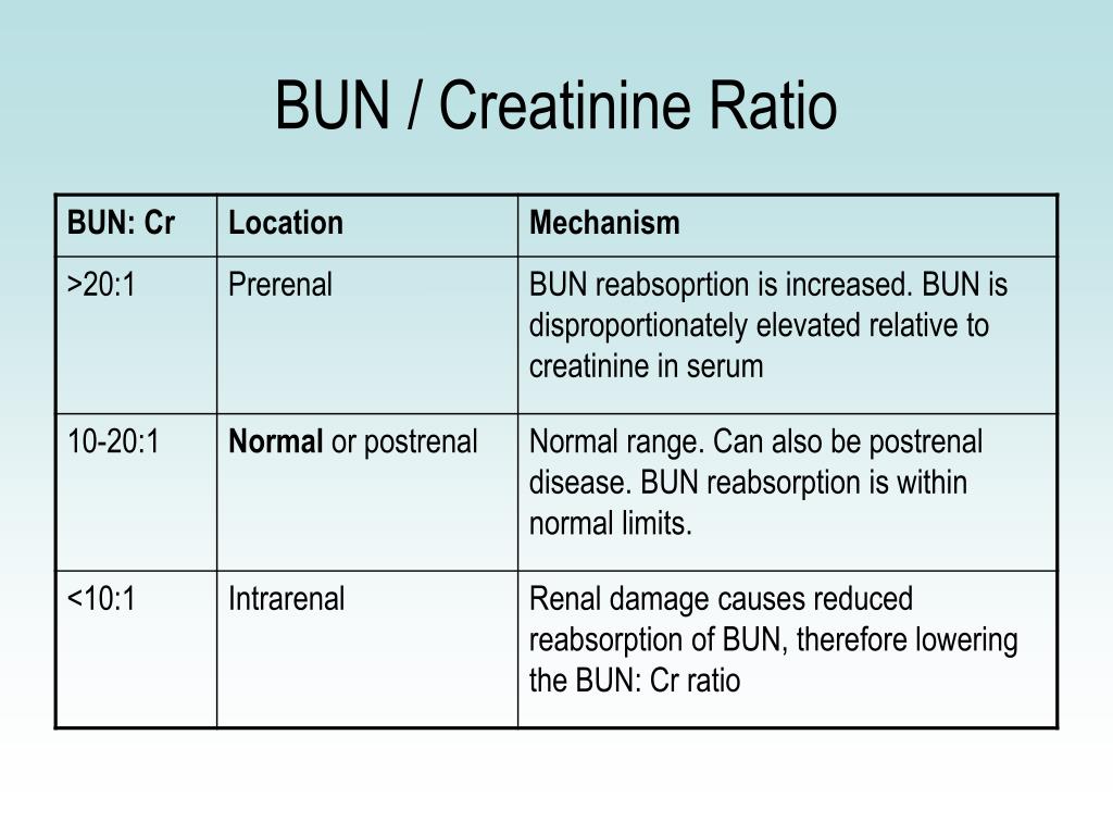 bun normal ranges