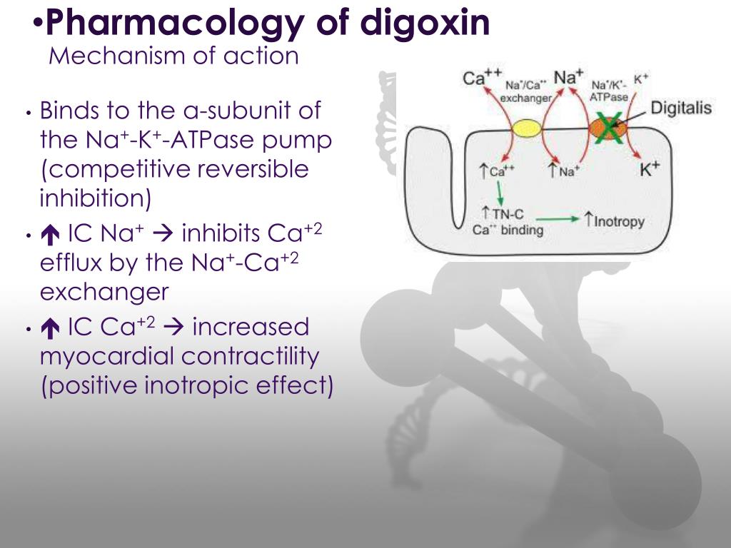 Common Side Effect Of Digoxin: Side Effects Of Digoxin – NHS