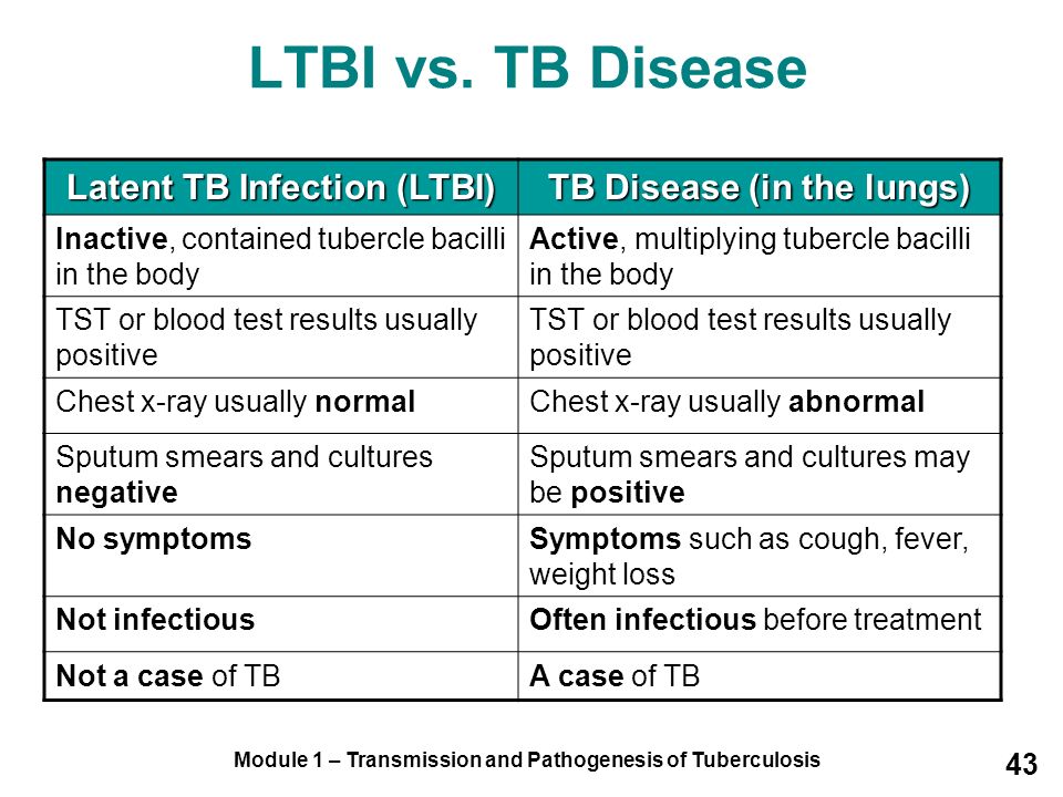 Active Vs Latent Tb Latent Tb Infection And Tb Disease Tb