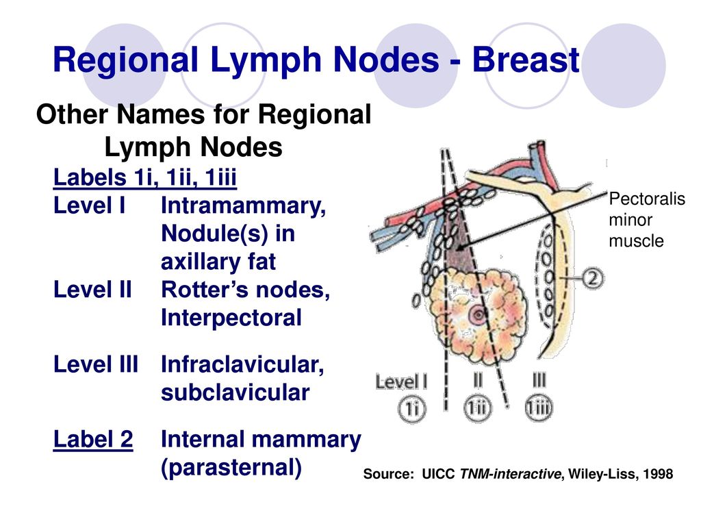 Lymph Node Locations Chest Thoracic Lymph Node Stations Radiology