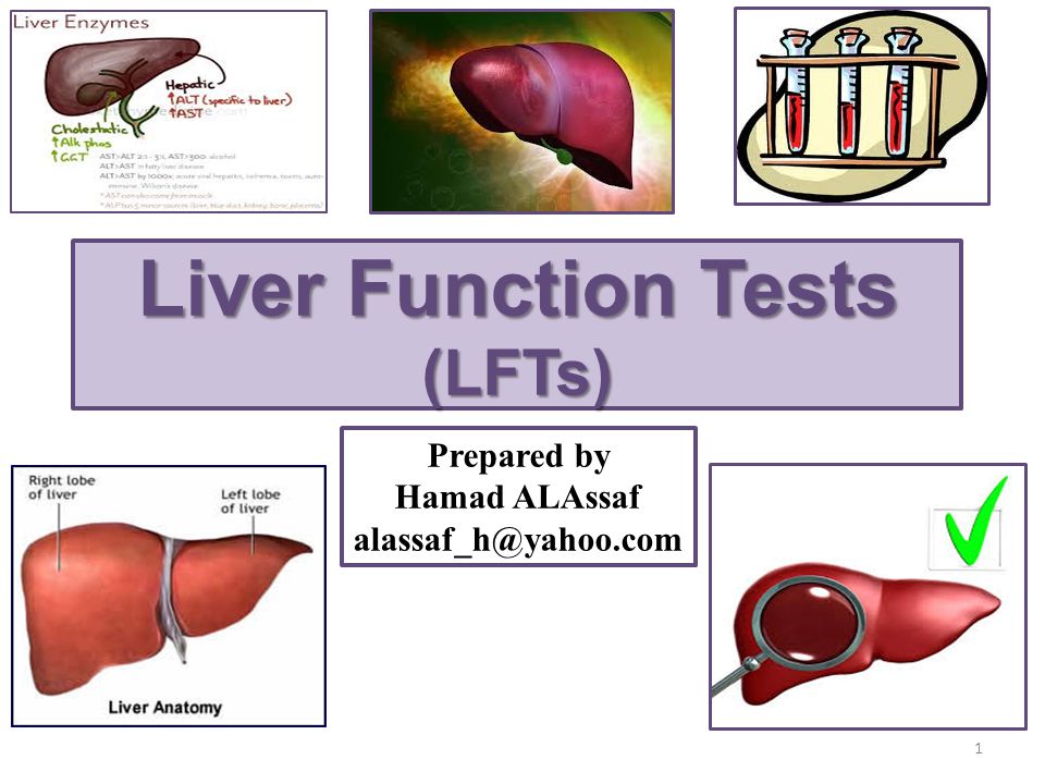 Плохая кровь печень. Liver function. Liver function Test. Liver Blood Test.