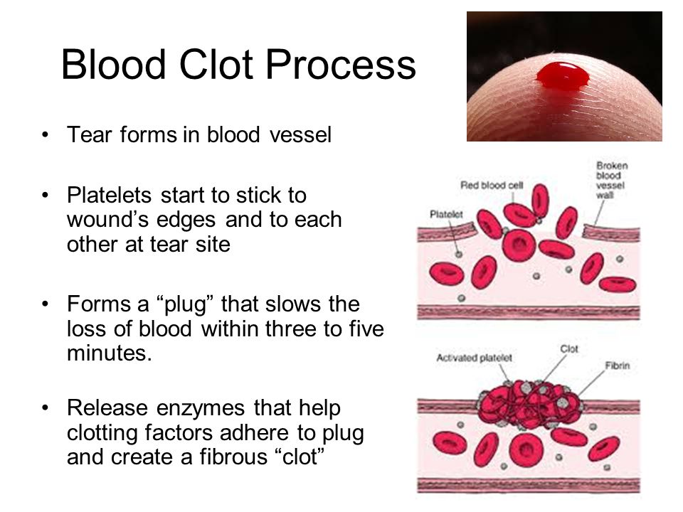 Blood перевод