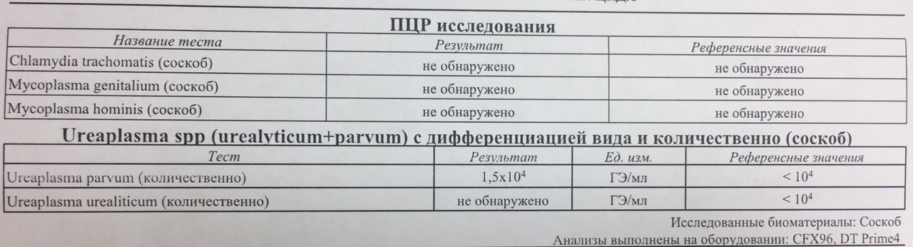 Пцр анализ уреаплазма. ПЦР уреаплазма количественный норма. Уреаплазма parvum норма. Что такое уреаплазма SPP ПЦР?. Норма уреаплазмы методом ПЦР.