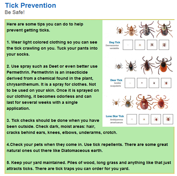 Tick перевод. Ticks перевод на русский язык.