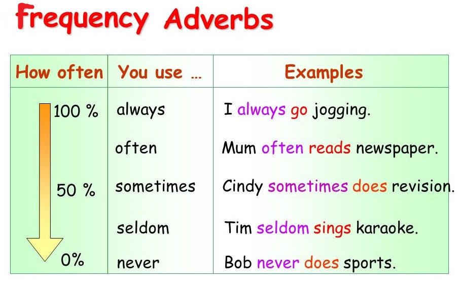 Present simple adverbs. Наречия частотности в present simple. Present simple adverbs of Frequency. Adverbs and expressions of Frequency правило.
