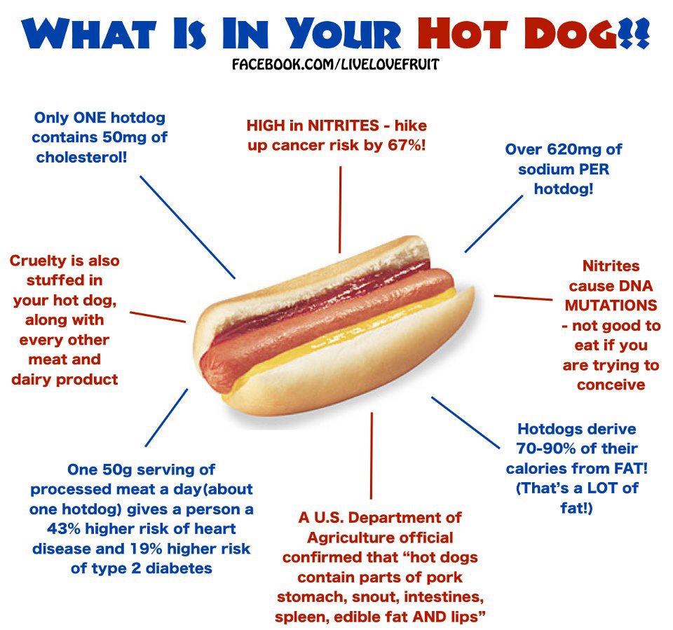 Hot dog перевод на русский