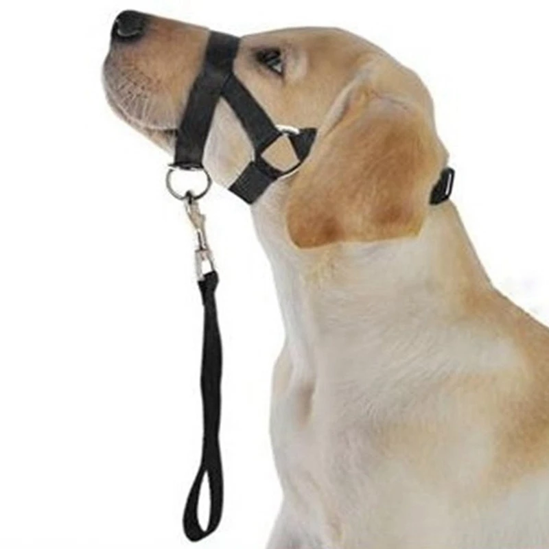 small dog muzzle prevent barking