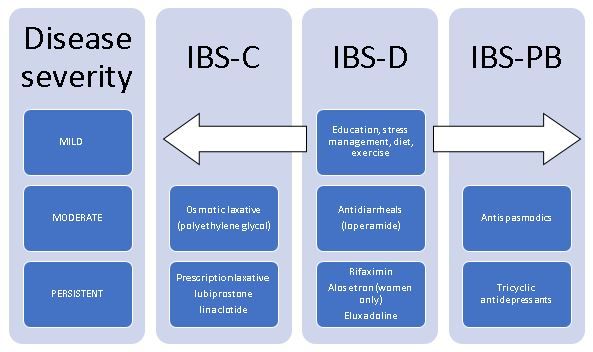 Ibs business ru. IBS. IBS Group структура. IBS-SSS опросник.