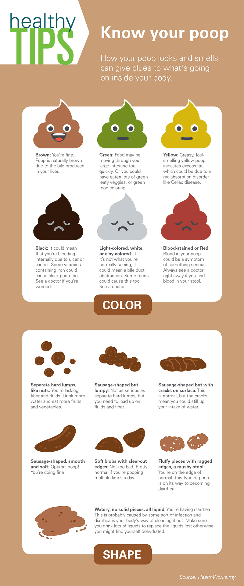 poop stool color changes color chart and meaning healthy concept stock ...