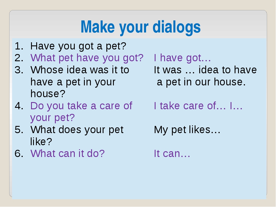 Has your new. Ответ на вопрос have you got a Pet. Вопросы have you got. Have got диалог. What Pet have you got перевод.
