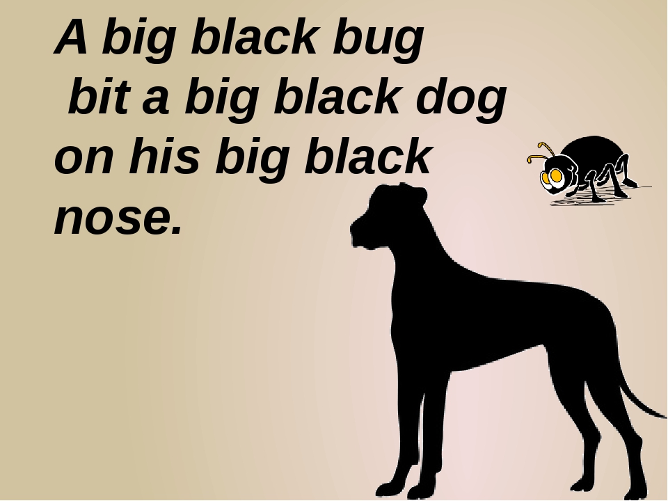 Big Black Bug bit a big Black Dog on his big Black nose. A big Black Bug скороговорка. Скороговорка на английском a big Black Bug. A big Black Bug bit a big.