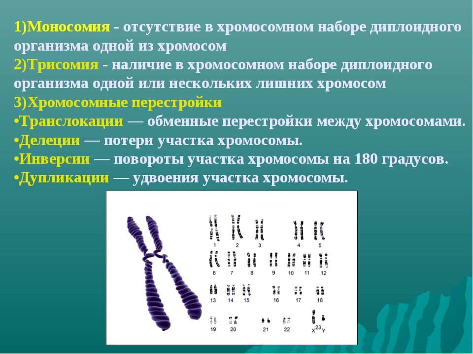 Изменение формы хромосом. Хромосомный набор. Наличие лишней хромосомы. Типы хромосом в кариотипе человека.