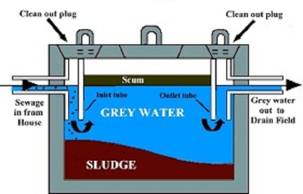 What septic mean: Symptoms, Signs, Risk Factors, Causes, Treatment ...