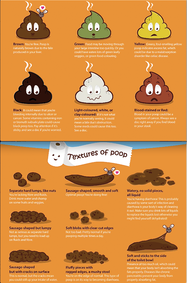 Color of your poop chart: Stool Color Changes and Chart: What Does It ...