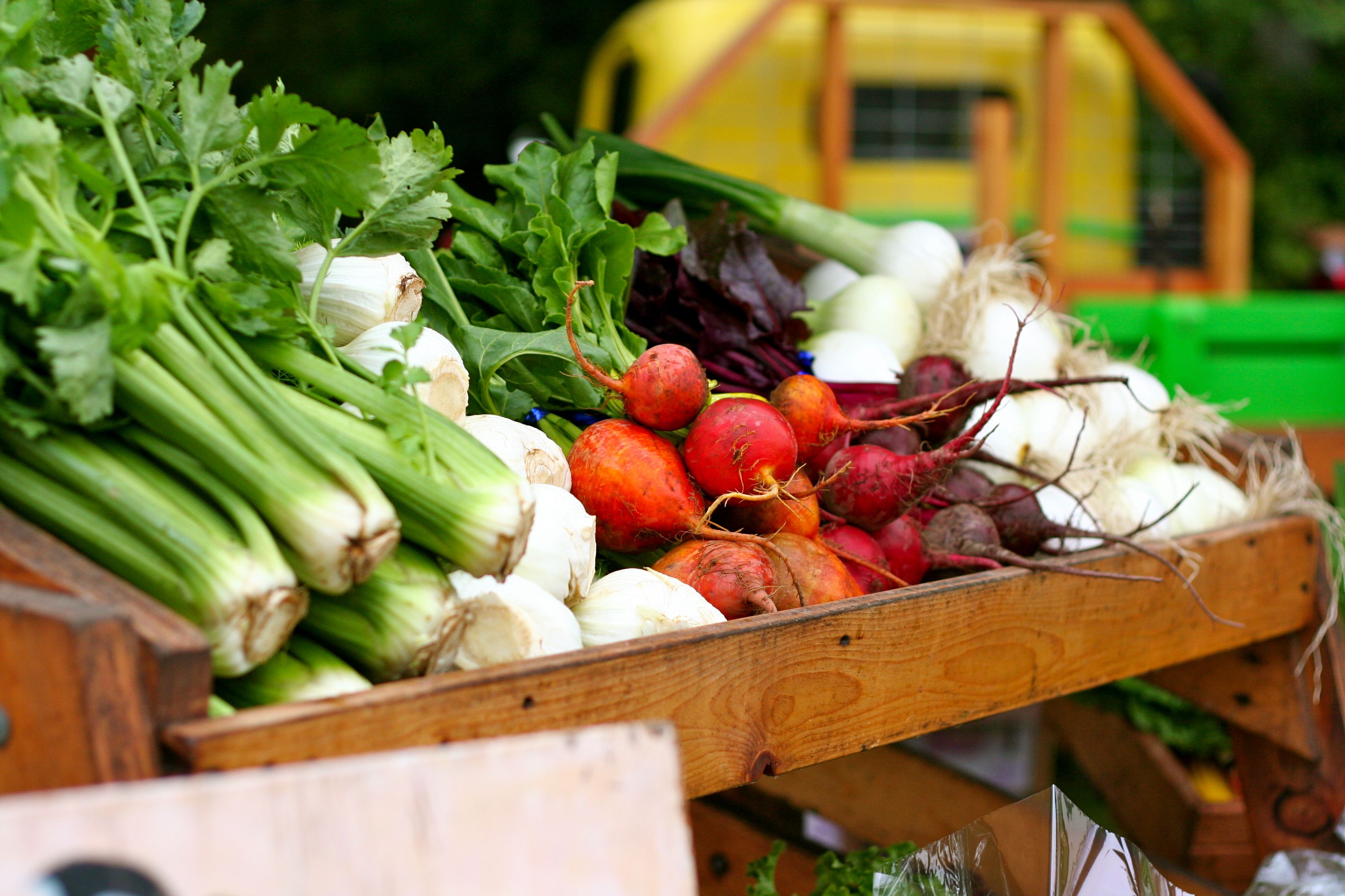 Agriculture products. Агро баннер. Агро продукты вид сверху. Agricultural products. Farmer's Market Fresh Vegetables.