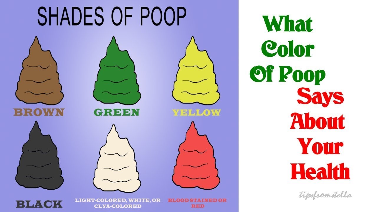 Colored say. What Colour are сказать. Shades of poop. What does Black poop mean.