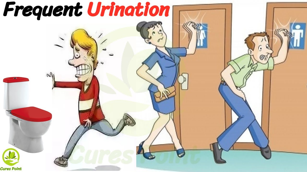 How to stop frequent urination at night prostate