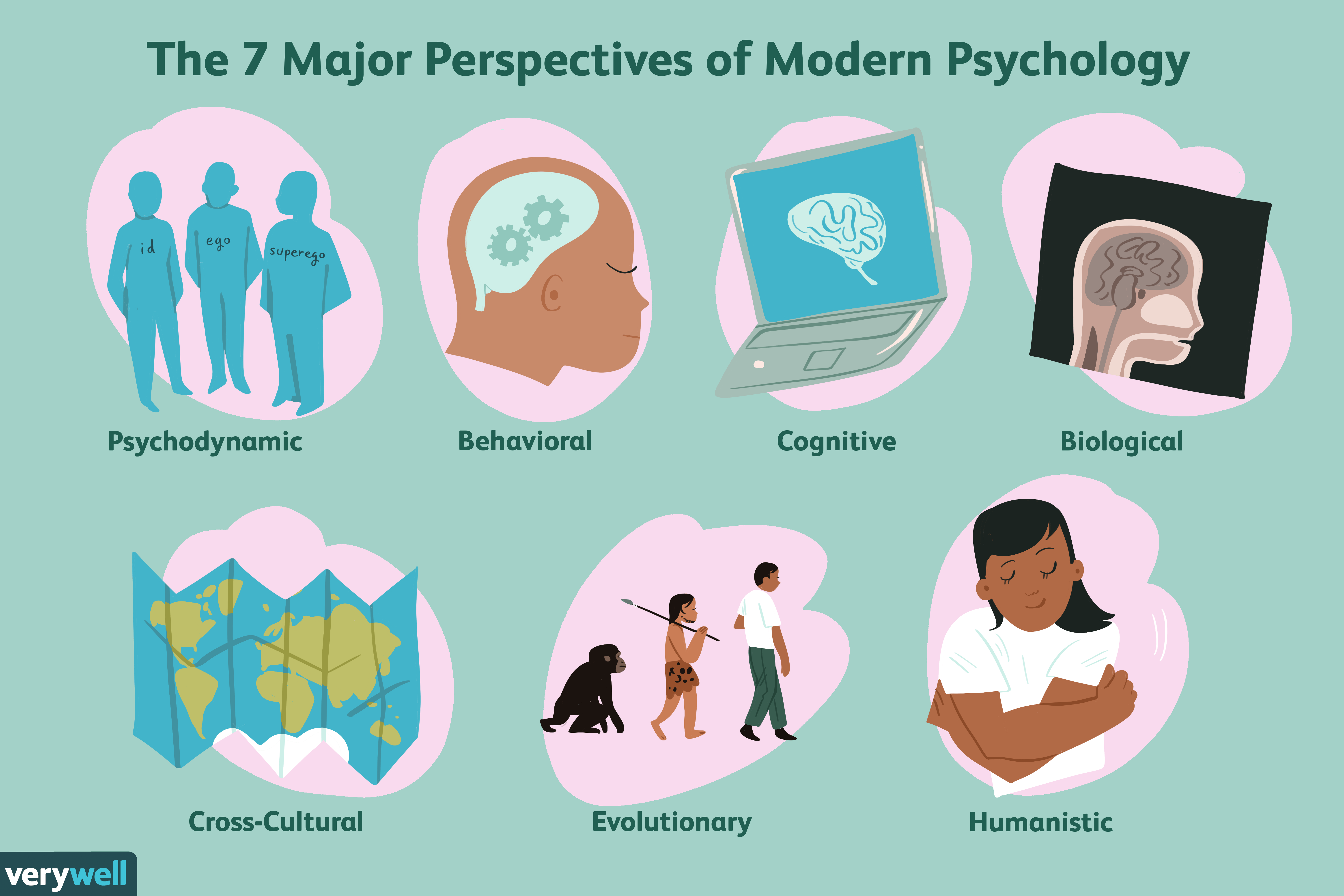  The image shows the 7 major perspectives of modern psychology: psychodynamic, behavioral, cognitive, biological, cross-cultural, evolutionary, and humanistic.