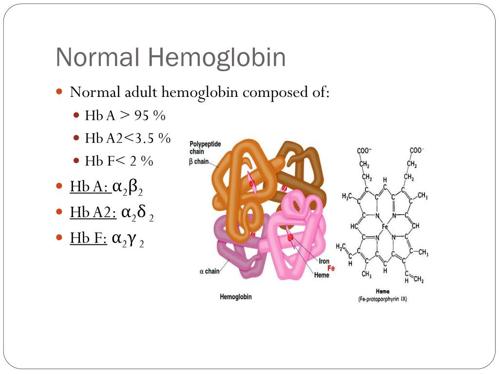 Hemoglobin Level Of Low Hemoglobin Causes Symptoms