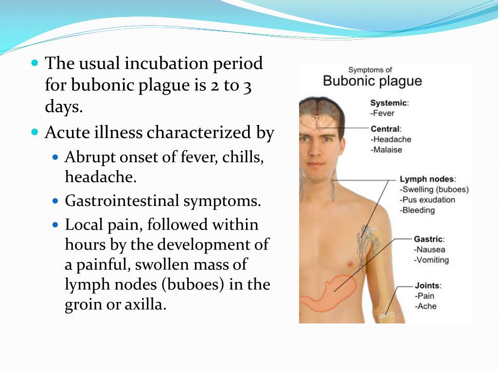 symptoms of shotty lymph nodes