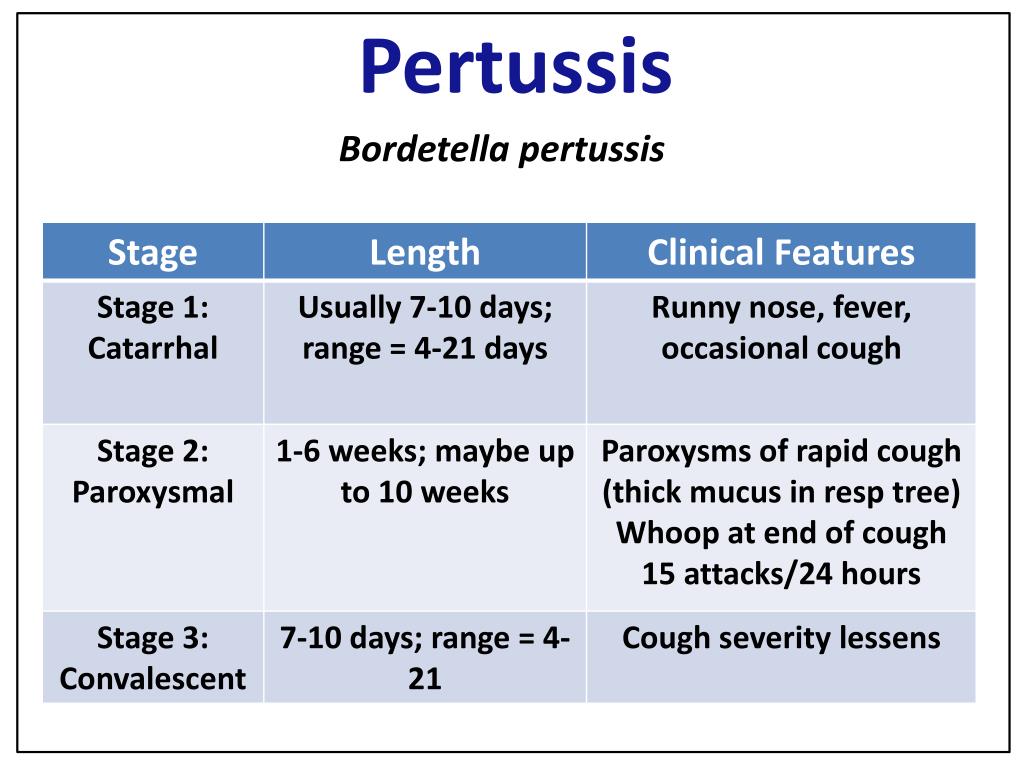 Антитела bordetella pertussis igg. Бордетелла пертуссис IGM. Pertussis (антитела IGM). Бордетелла пертуссис IGG что это. Anti-Bordetella pertussis IGG нормы.