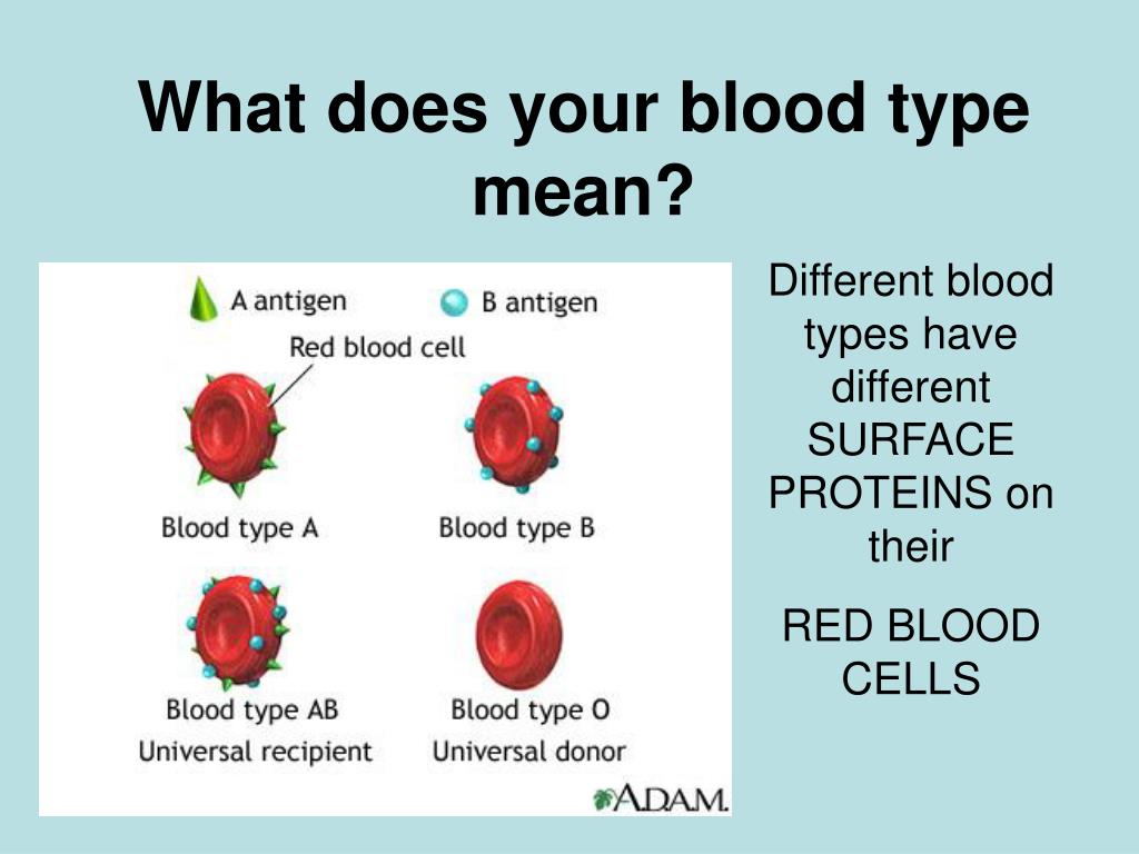What 3 this mean. Blood Types in English. Blood Group Types. Группы крови на англ. Ab Blood Type.