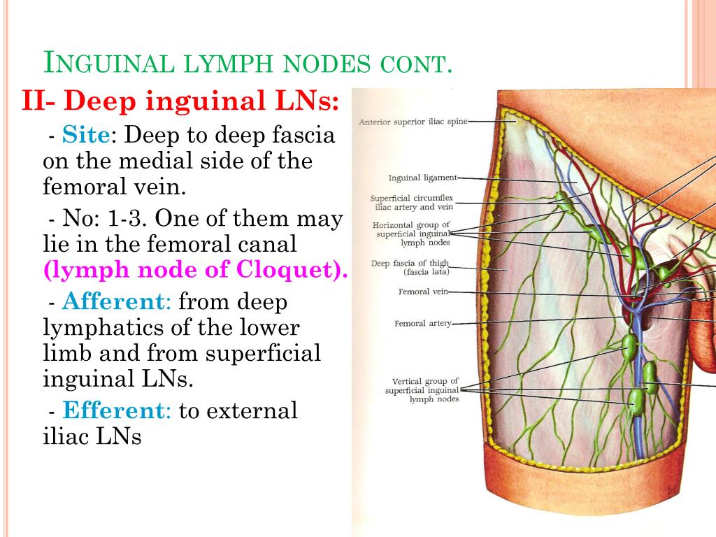 Medicine For Lymph Node Swollen Swollen Lymph Nodes Causes Diagnosis And Treatment 