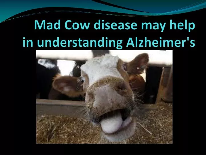 Mad Cow Disease History Center For Food Safety Issues