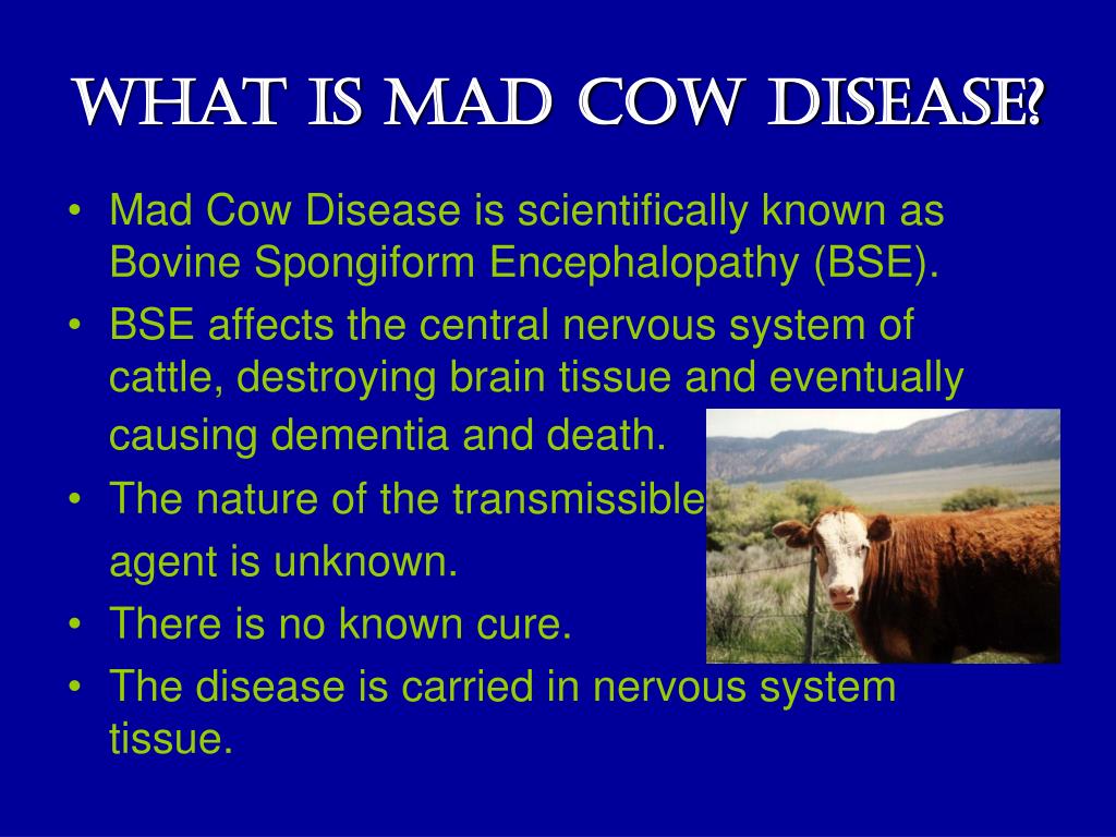 Mad cow disease history Center for Food Safety Issues