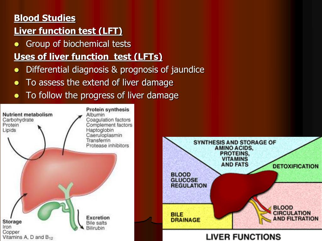 Плохая кровь печень. Liver function. Liver Blood Test. Liver function Test. Functions of Blood.