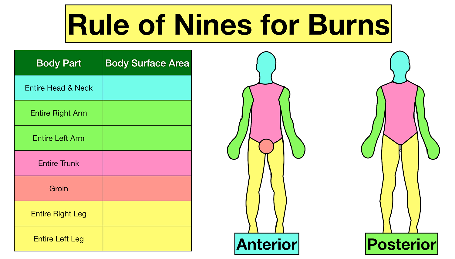 burns-in-adults-the-rule-of-nine-chart