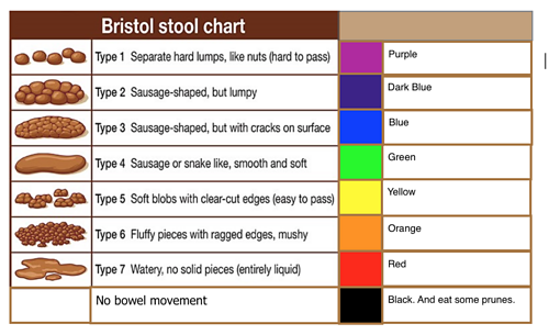 stool color guide stool color chart meaning texture changes size