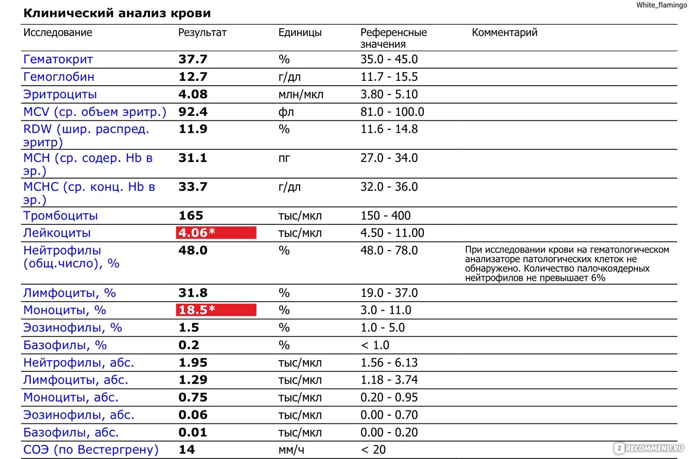 Пониженные лейкоциты форум женщины. Анализ крови норма в лимфоциты в крови. Анализ крови показатели нейтрофилы. Норма лимфоцитов и нейтрофилов в крови у взрослых. Анализ крови из пальца норма.