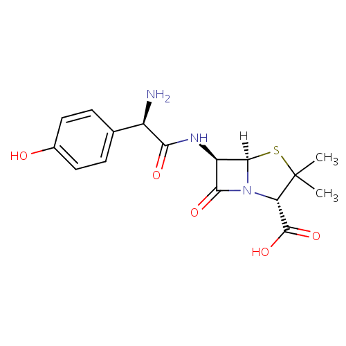 Amoxicillin Directions: Amoxicillin: MedlinePlus Drug Information