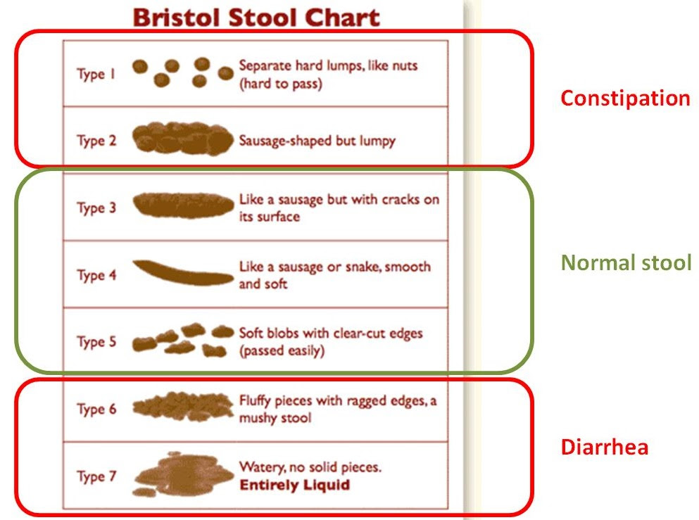 Норма цвета кала у ребенка. Bristol Stool Scale. Стул шкала Бристоль. Диаграмма стула Bristol.