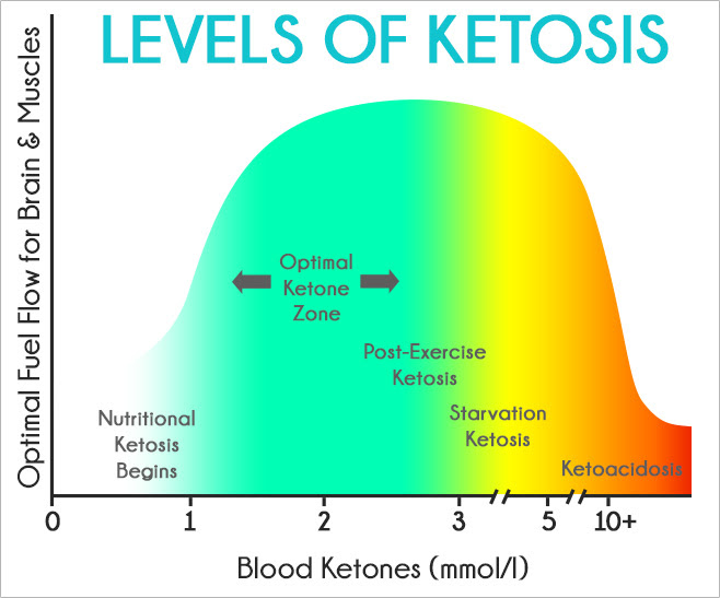 Кетоз. Ливернет Джейсон Фанг кетоз. Ketone Level что показывает. Ketosis 380 Fasting. A Greater risk of Starvation.