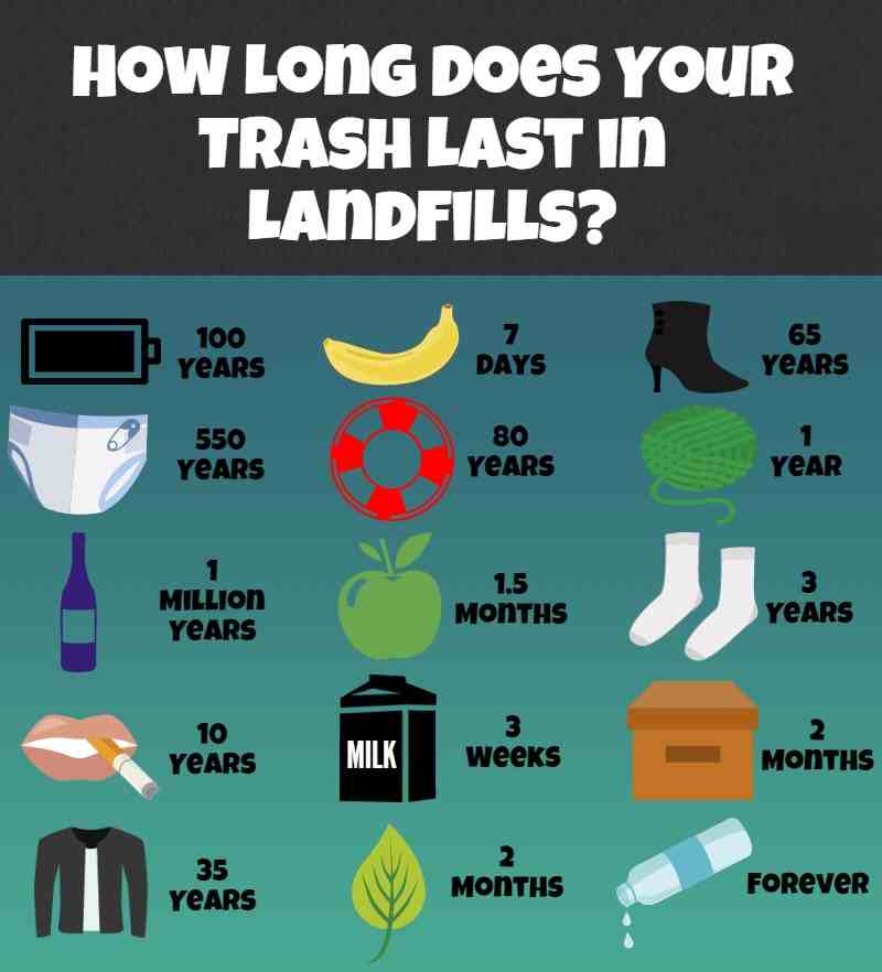 How long after. How long. How long Trash decompose. How long will it last. How can we make Trash clothes last long?.