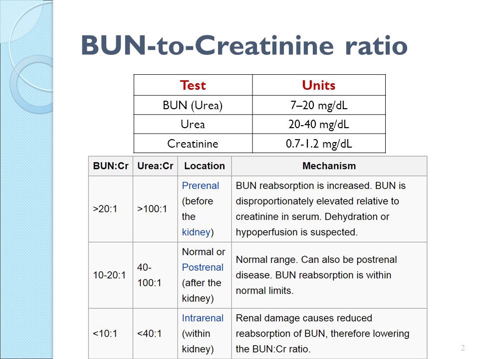 bun creatinine levels normal range