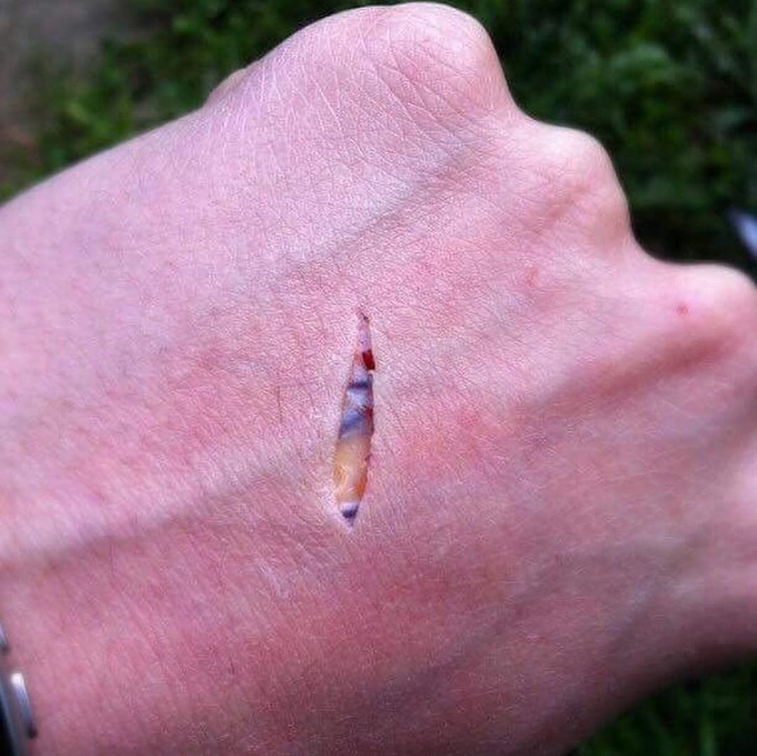 рыба палец фото