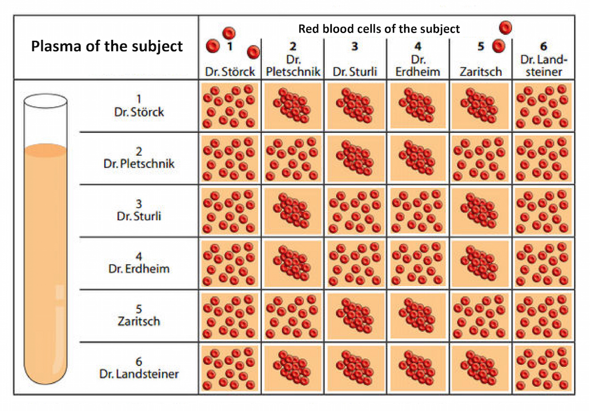 Тест клетки крови. Формула Ландштейнера модификация. Blood таблица. Blood components.
