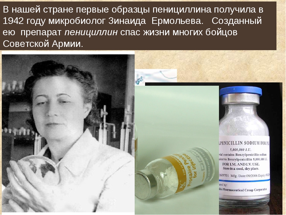 Пенициллин производство антибиотиков