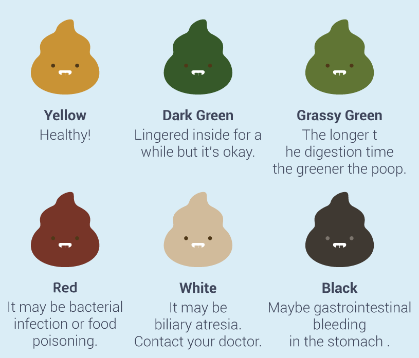 Is poop supposed to stink: Your Most Burning Poop Questions, Answered