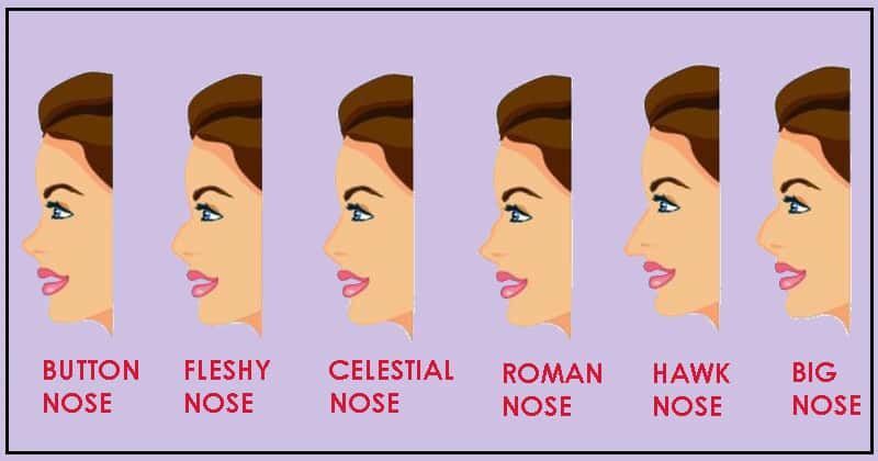Большой нос по английски. Типы носа. Типажи носа. Типы носа у девушек. Разновидность носа профиль.
