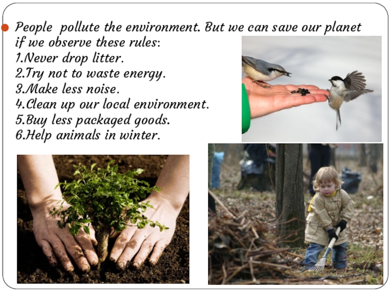 How can we help you. Save our Planet презентация. Save our Planet проект по английскому. Проект help the Earth. How we can help the environment.