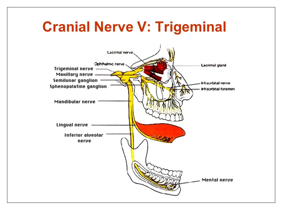 Calm tooth nerve pain: What Works and What Hurts