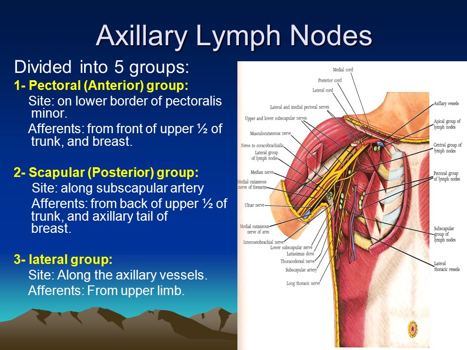 Cause Of Swollen Axillary Lymph Nodes Swollen Lymph Nodes In Armpit Symptoms Causes And 