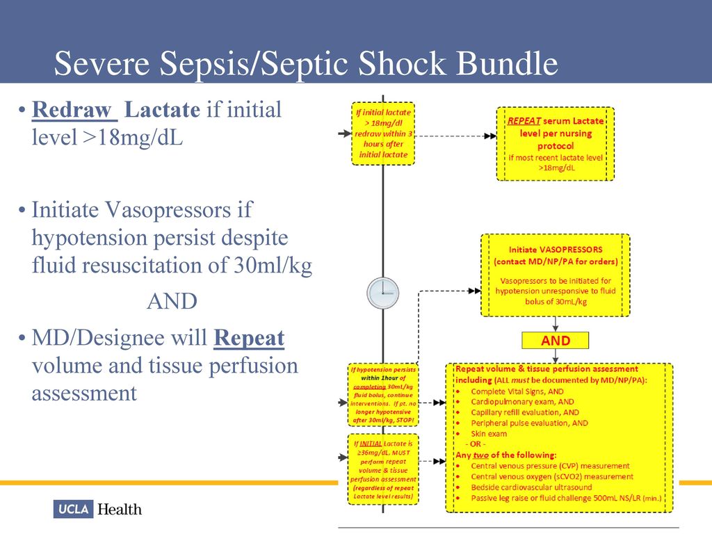 Septic Health Symptoms Signs Risk Factors Causes Treatment